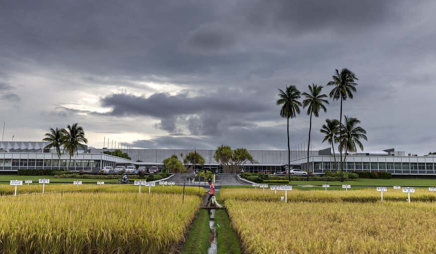 Crop Trust Dialogue on Genebanks at GLF Biodiversity Conference