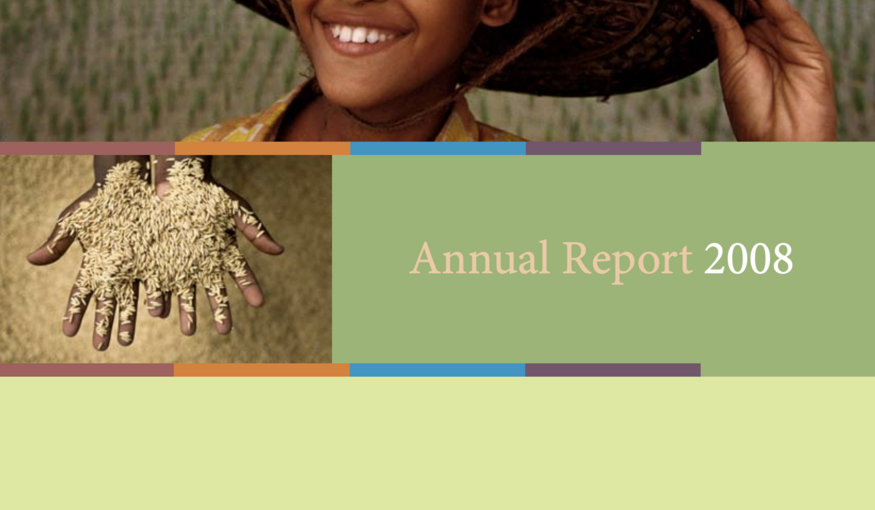 2008 annual report cover