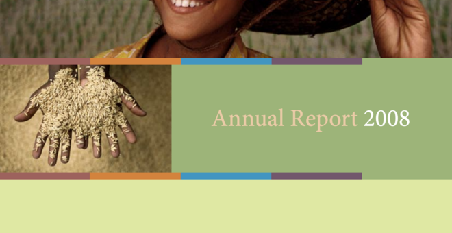 2008 annual report cover