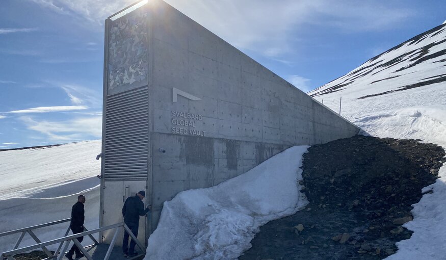 Heritage and Health Take Center Stage at the Latest Svalbard Global Seed Vault Deposit