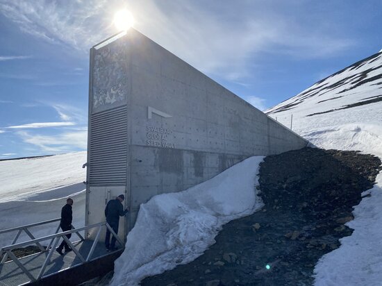 Fourteen genebanks will deposit over 11,000 seed samples in the Svalbard Global Seed Vault this week, including vegetables and traditional crops that are as important to cultural identity as they are to nutrition and resilience to climate change. Photo: Jonatan Jacobson/NordGen