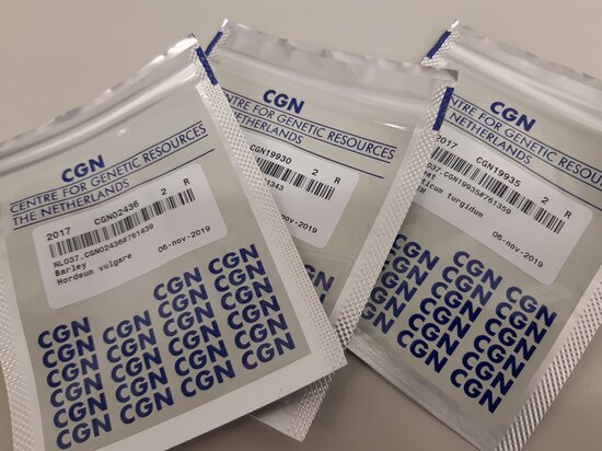 Seeds from the Centre for Genetic Resources, the Netherlands (CGN), part of Wageningen University & Research. This year’s deposit focused on vegetable diversity, including cabbage, spinach, and wild relatives. Photo: CGN/WUR
