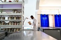 Genebanks, the living libraries of crop diversity, benefit from following a Quality Management System, or QMS. This ensures that nothing goes wrong in the journey of a seed into, around, and out of the genebank. In this image, staff of the Genetics, Biotechnology and Seed Science (GBioS) unit at the University d’Abomey-Calavi in Benin inspects seeds conserved in a freezer. Photo: Neil Palmer/Crop Trust