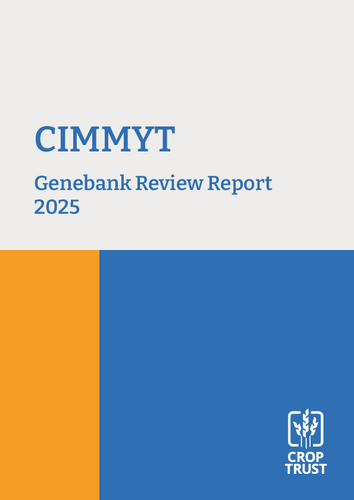 Genebank Review: CIMMYT (2025)