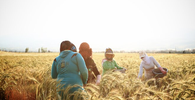 16 Women Scientists Securing the Future of our Food