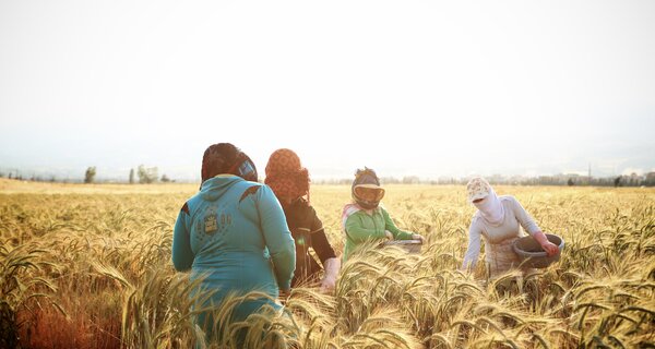 16 Women Scientists Securing the Future of our Food