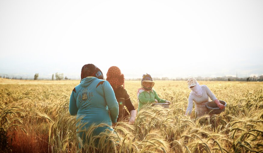 16 Women Scientists Securing the Future of our Food