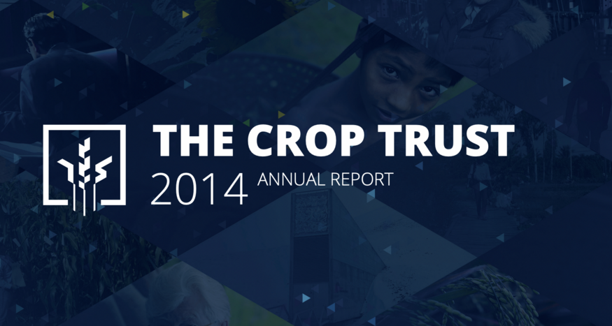 2014 annual report cover