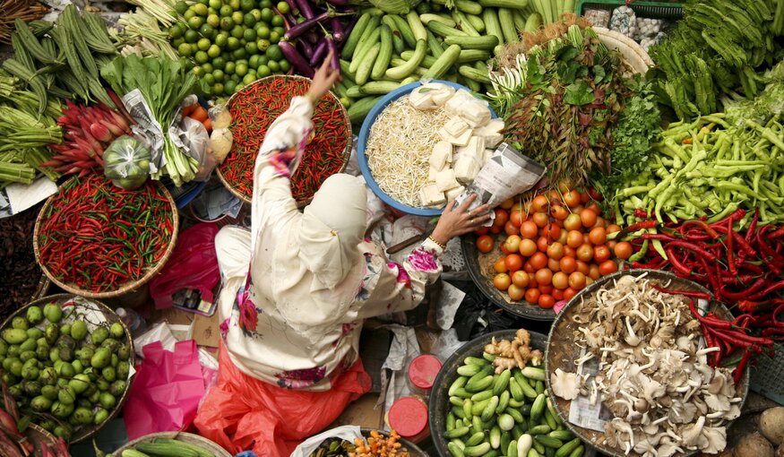 The Crop Trust Aims High With 2030 Strategy Plan for Genebanks