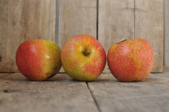 Photo: Vintage Virginia Apples