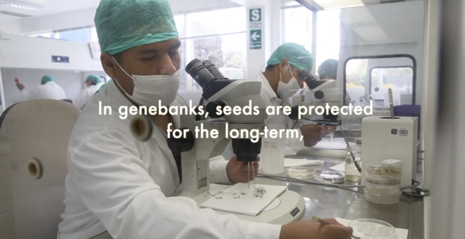 Biodiversity for Resilience: Genebanks, Ensuring Resilience