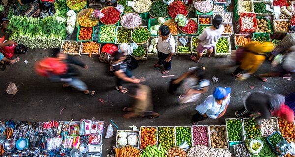 Crop Diversity Drives Global Security