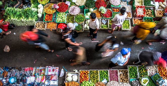 Crop Diversity Drives Global Security