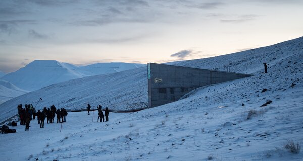 New Countries and a New Crop Mark First Seed Vault Deposit of 2026