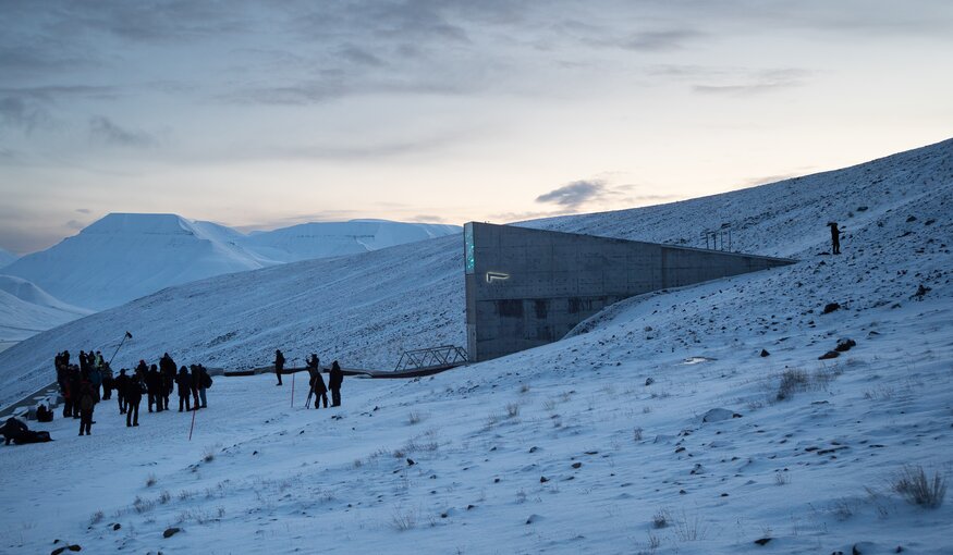 New Countries and a New Crop Mark First Seed Vault Deposit of 2026