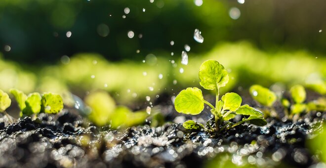 Water as a Catalyst for Resilient Food Systems: Unlocking Policy & Financing Mechanisms for Action