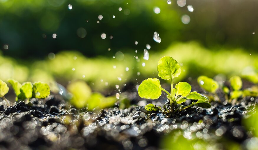 Water as a Catalyst for Resilient Food Systems: Unlocking Policy & Financing Mechanisms for Action
