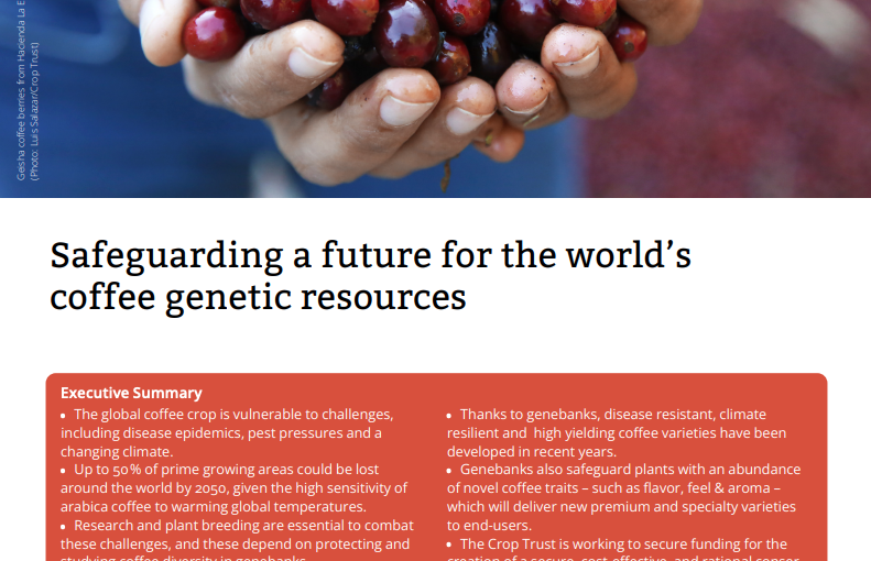 Safeguarding a Future for the World’s Coffee Genetic Resources