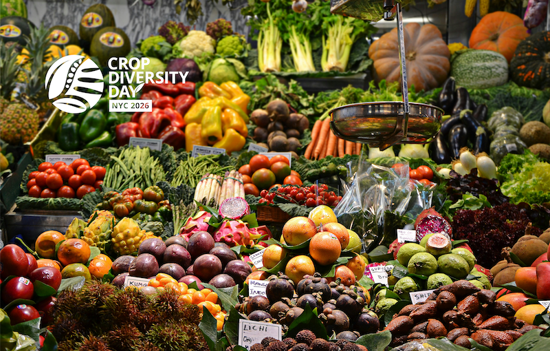 Crop Diversity Day 2026: Celebrating Food Diversity for Healthy Diets