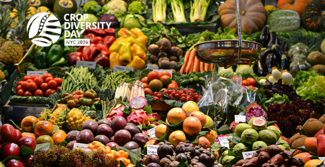 Crop Diversity Day 2026: Celebrating Food Diversity for Healthy Diets