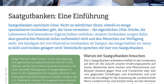Saatgutbanken: Eine Einleitung