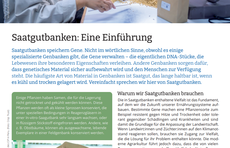 Saatgutbanken: Eine Einleitung