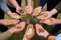 Circle of hands holding a variety of seeds