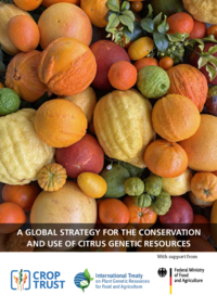 Crop Strategy: Citrus (low res)