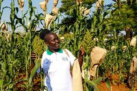 Farmer with Sorgum plant in Kenya