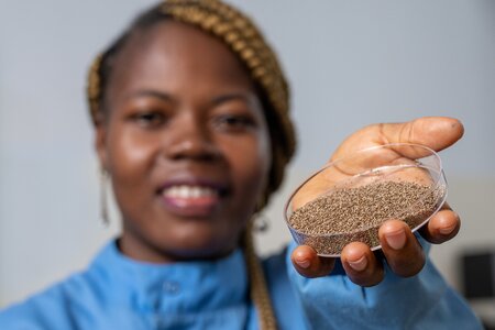 Reclaiming Fonio: How Benin’s Oldest Grain is Finding New Life