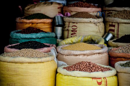 A Love for Lentils: How World Pulses Day Can Change the Way You Eat