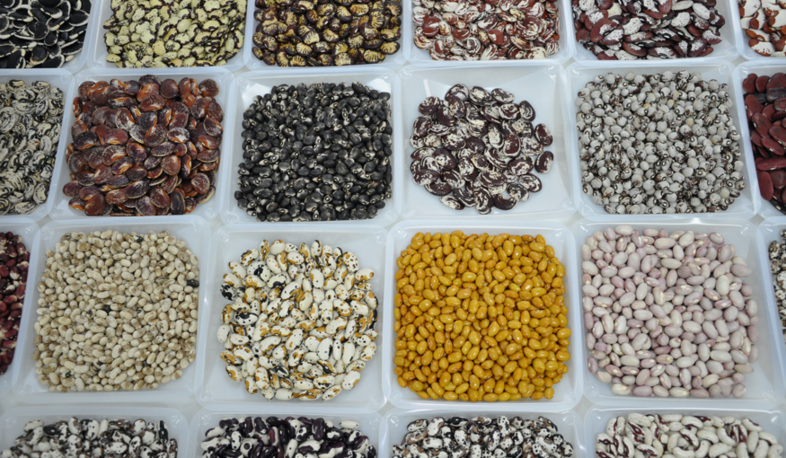 Different types of beans in containers.