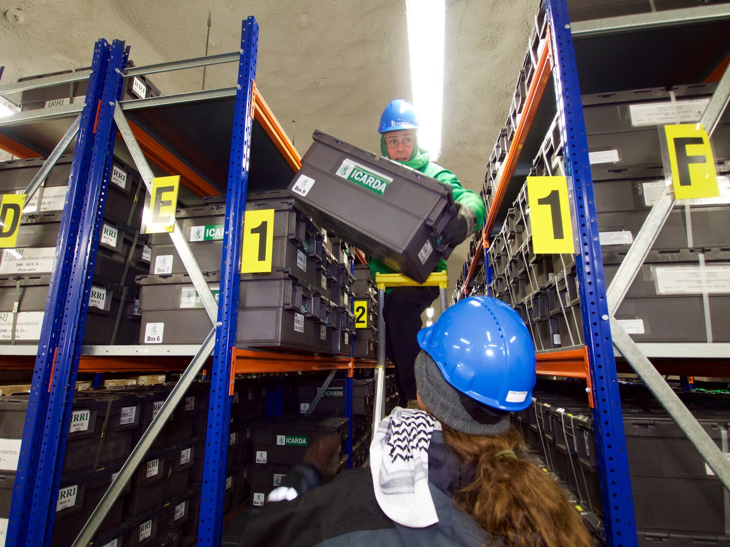 In the Global Seed Vault, Arni Bragason from NordGen hands a seed box to Athanasios Tsivelikas, ICARDA