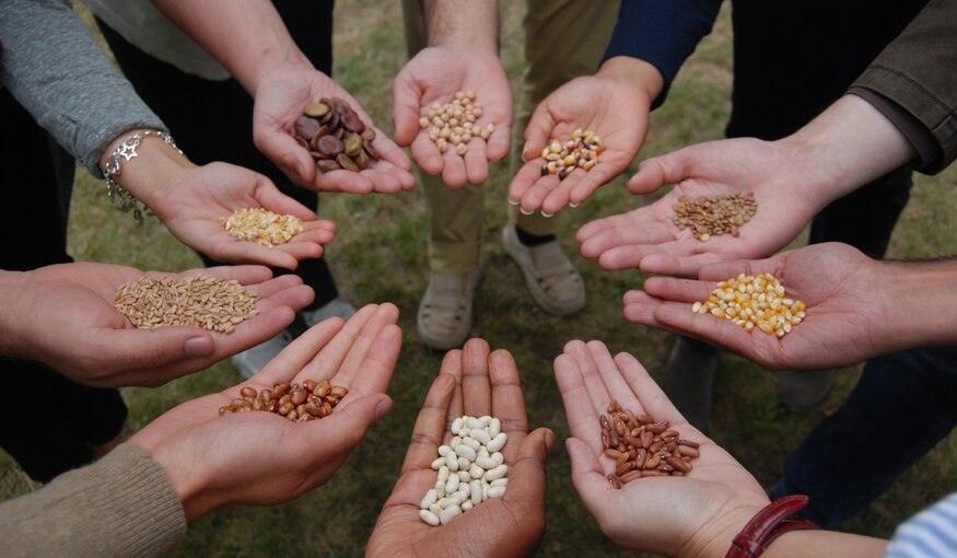 Circle of hands holding seed varieties