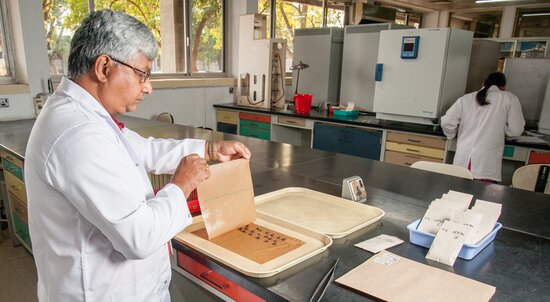 Staff busy at the ICRISAT genebank. Photo: ICRISAT