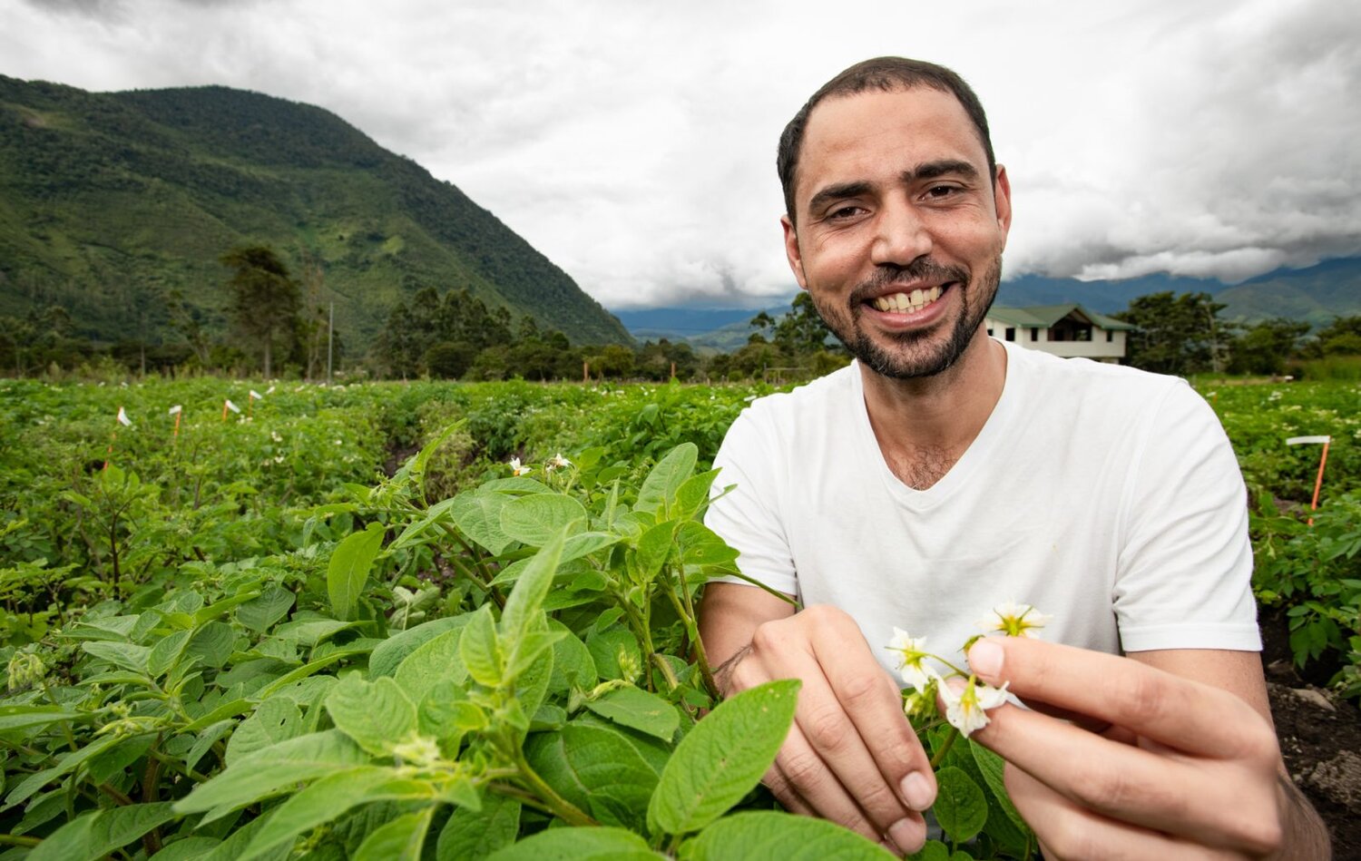 Thiago Mendes in potato field.