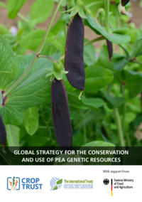 Crop Strategy: Pea 2023 (lowres)