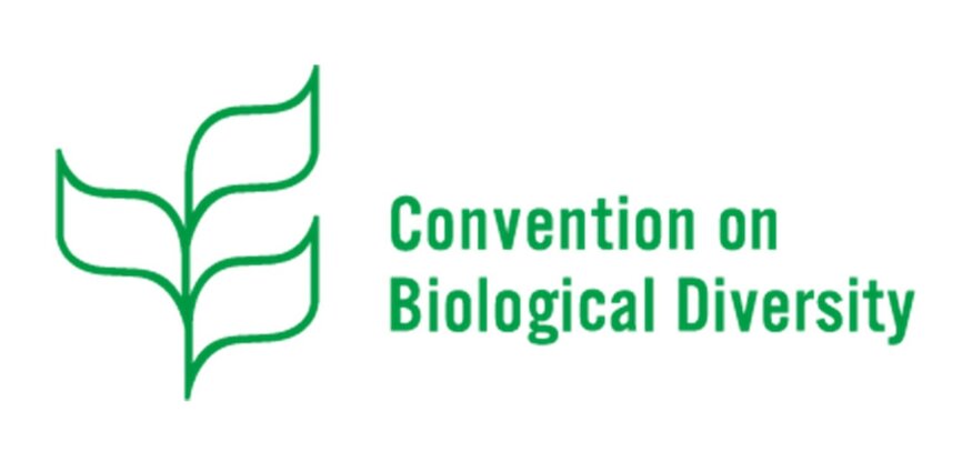 CBD COP 17