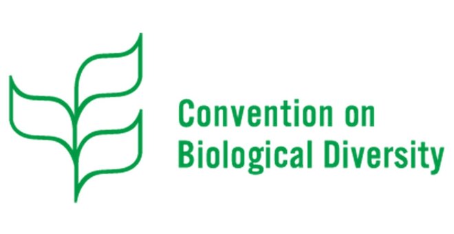 CBD COP 17