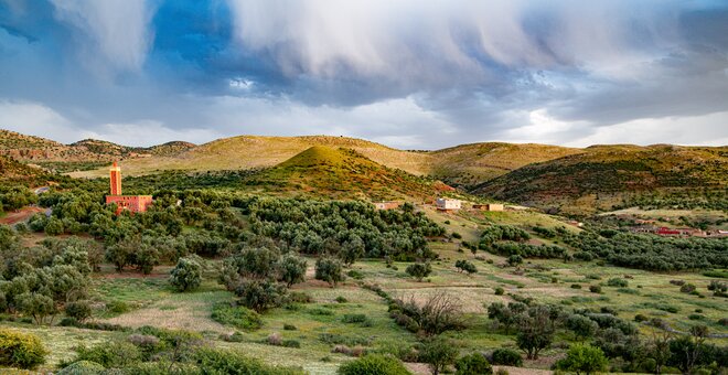 Photo: Michael Major/Crop Trust