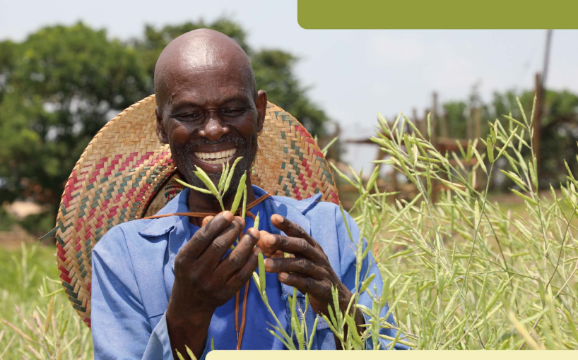 African Vegetable Biodiversity Rescue Plan (2025‒2035)