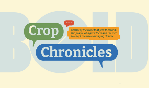 Crop Chronicles