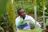 Man in field observing green plants.