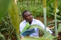 Man in field observing green plants.