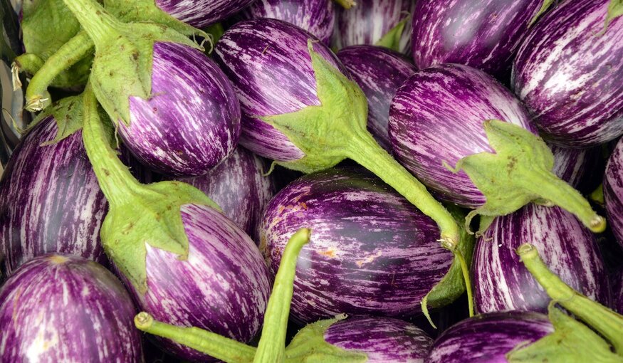 HERE'S WHY SCARLET EGGPLANT IS GOOD FOR YOU