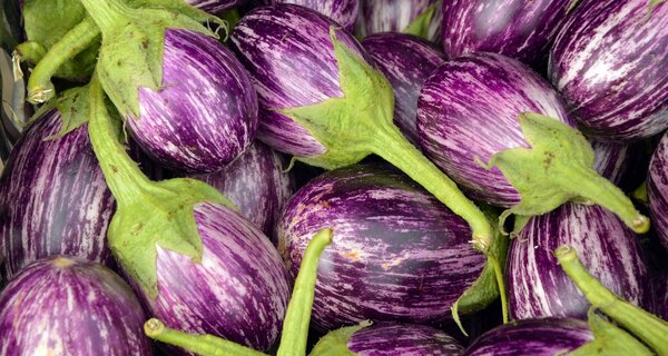 Ensuring Enough Eggplant for Everyone