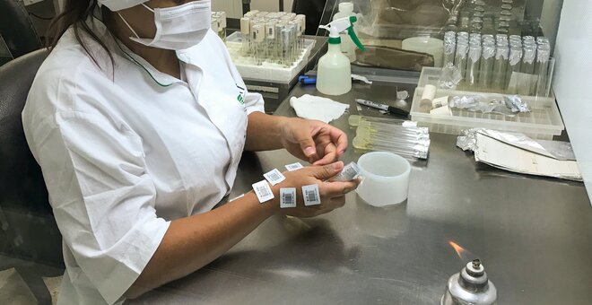 Despite the COVID-19 pandemic, a lab technician is busy at work at the Alliance of Bioversity International and CIAT genebank in Colombia. Photo: The Alliance