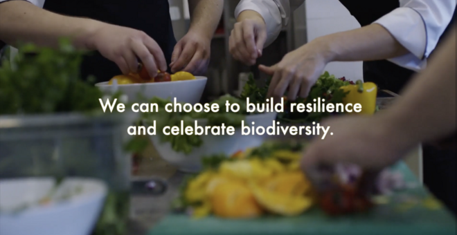 Biodiversity for Resilience: Chefs, Advocates for Biodiversity