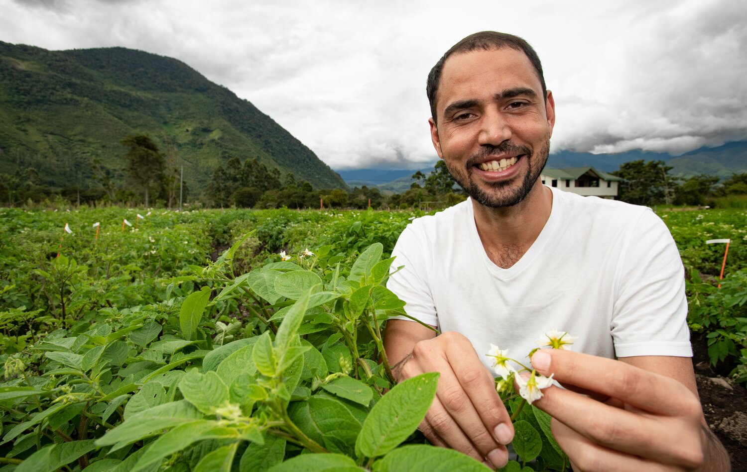 Thiago Mendes of CIP is leading the pre-breeding project “CWR-derived potatoes for climate change resilience of farming communities in Kenya and Peru.” The project is developing new potato varieties that can better cope with the challenges associated with climate change. Photo: Crop Trust/Michael Major. 