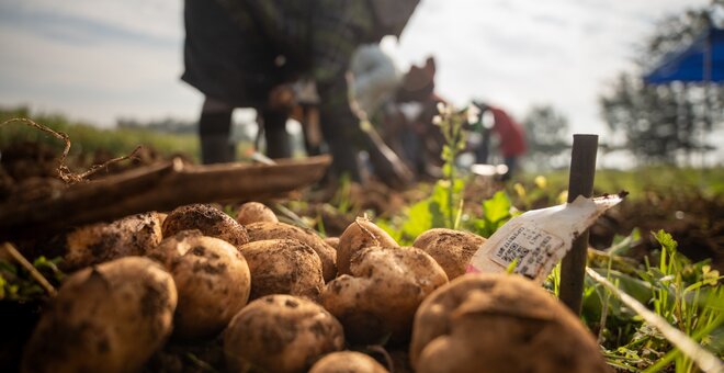 World Potato Congress